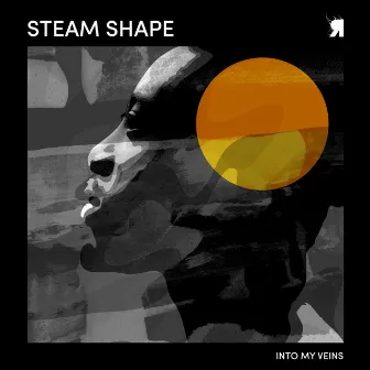 Into My Veins by Steam Shape