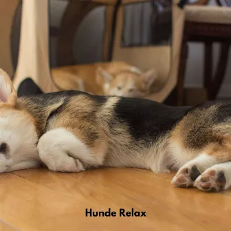 Hunde Relax by Hunde Entspannungsmusik