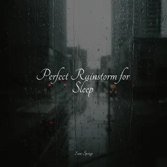 Perfect Rainstorm for Sleep by Big Sounds