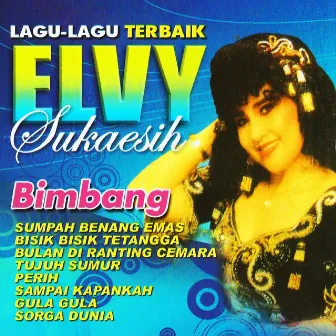 Lagu-Lagu Terbaik Elvy Sukaesih by Elvy Sukaesih