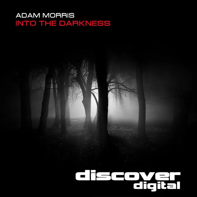 Into the Darkness - Original Mix