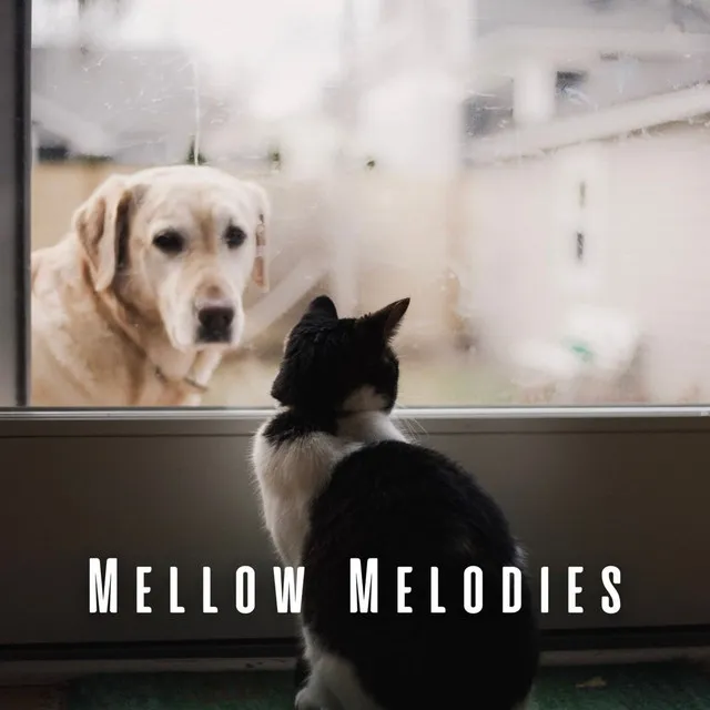 Piano Duets with our Furry Friends