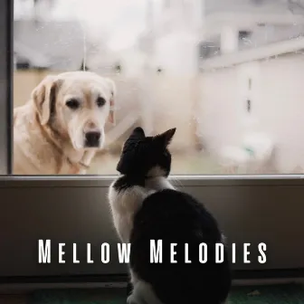 Mellow Melodies: Piano Sounds for Relaxed and Contented Pets by Pet Music Therapy