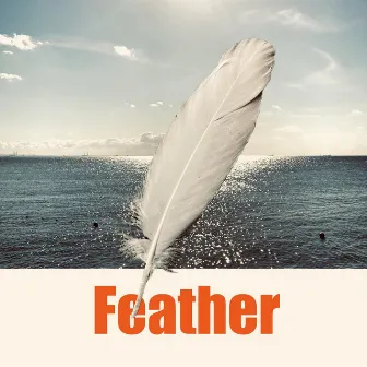 Feather by Have a Nice Day!