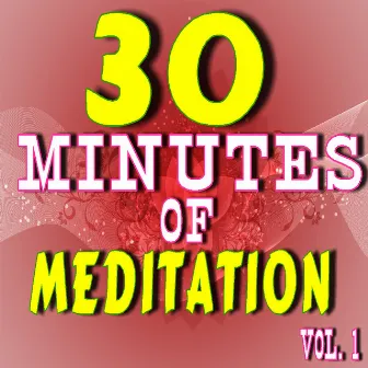 30 Minutes of Meditation, Vol. 1 (Special Edition) by Tim Lewis