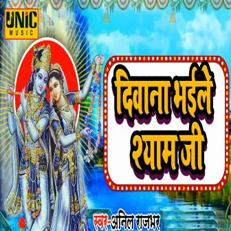 Diwana Bhaile Shyam Ji by Anil Rajbhar