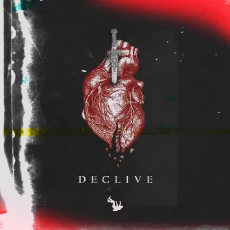 Declive by Loran D