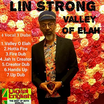 Digital English Presents: Lin Strong Valley Oh Elah by Lin Strong