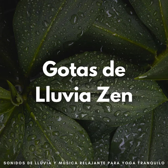 Reflexiones De Gota De Lluvia Melancólicas