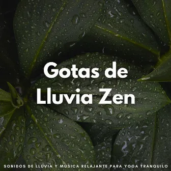 Gotas De Lluvia Zen: Sonidos De Lluvia Y Música Relajante Para Yoga Tranquilo by Ambiente Meteorológico