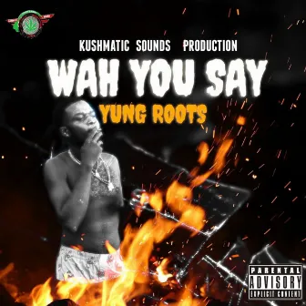 Wah You Say by Yung Roots