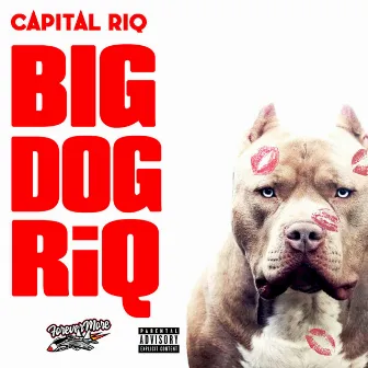 Big Dog by Capital Riq