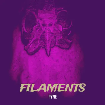 Filaments by PYNE