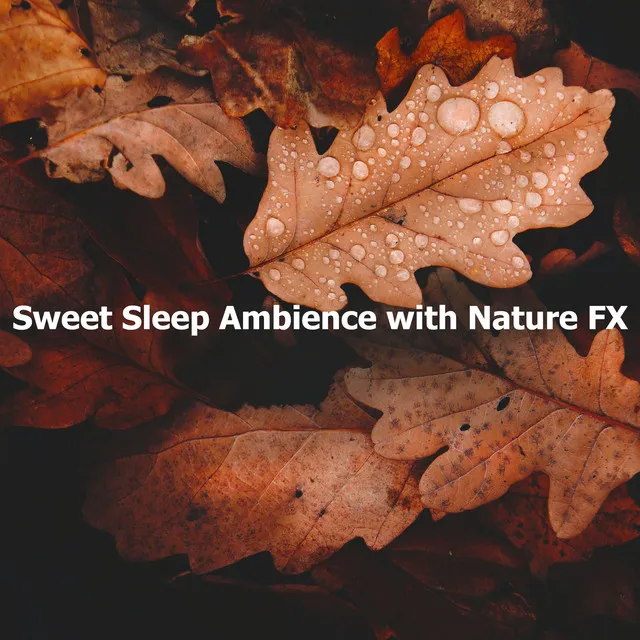 Sweet Sleep Ambience with Nature FX