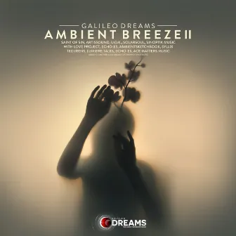 Ambient Breeze, Vol. 2 by Echoes