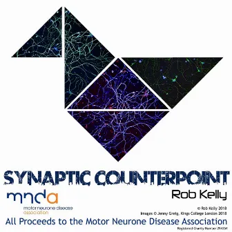 Synaptic Counterpoint by Rob Kelly