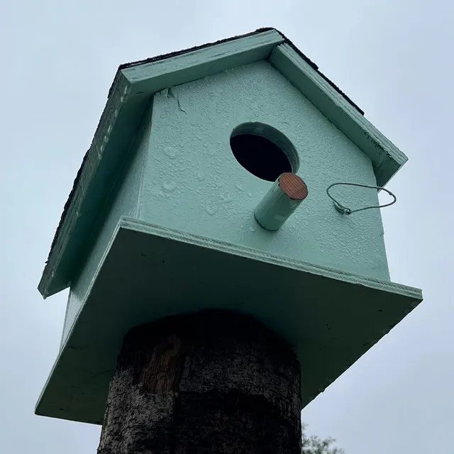 Casita de Pájaro