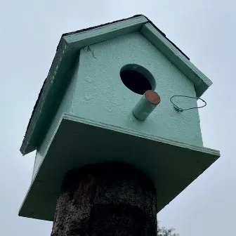 Casita de Pájaro by Lonare