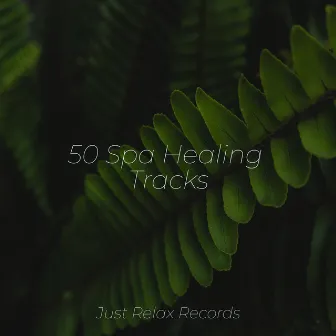 50 Spa Healing Tracks by Musica para Bebes