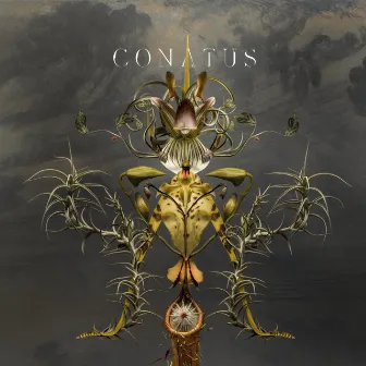 Conatus by Joep Beving