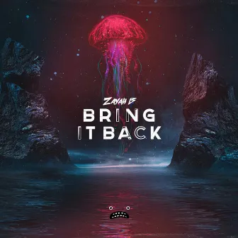 Bring It Back by Zayah B