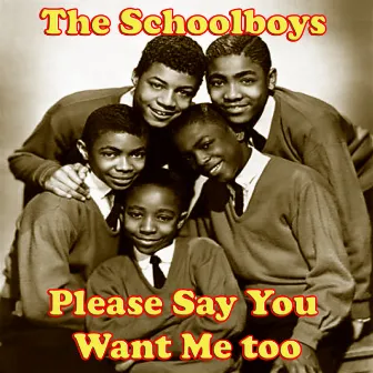 Please Say You Want Me too by The Schoolboys