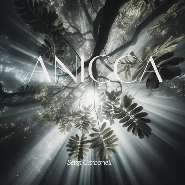 Anicca