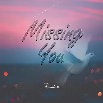 Missing You by RoZe