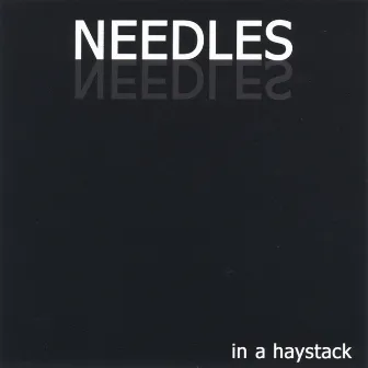 In A Haystack by The Needles