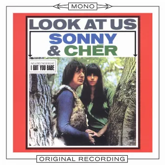 Look At Us (Mono) by Sonny & Cher