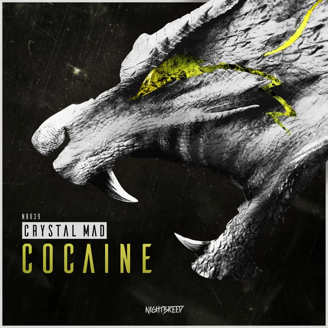 Cocaine - Radio Edit