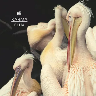 Karma by Flim