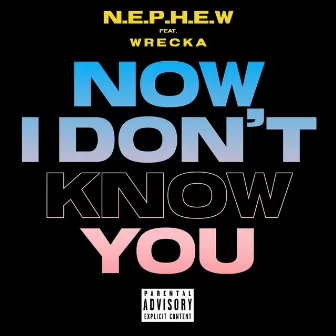 Now I Don't Know You by N.E.P.H.E.W