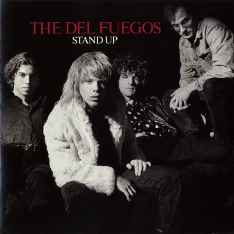 Stand Up by The Del Fuegos