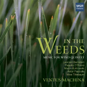 In The Weeds - Music for Wind Quintet by Bernstein, D’Rivera, Kutnowski, Piazzolla and Titlebaum by Ventus Machina