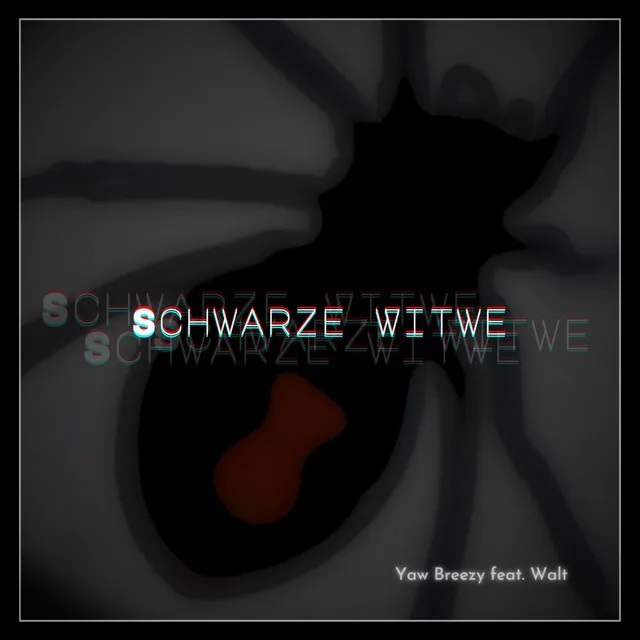 Schwarze Witwe