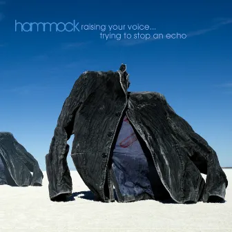 Raising Your Voice... Trying to Stop an Echo by Hammock