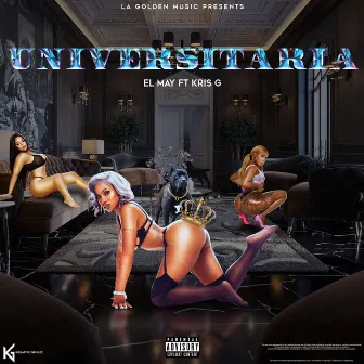 UNIVERSITARIA by EL MAY C13