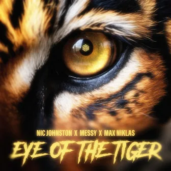 Eye of the Tiger by MeSSy