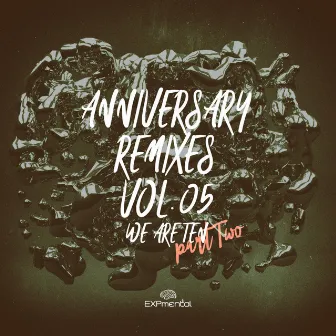 Anniversary Remixes Vol.05 We Are Ten Part Two by Maertz