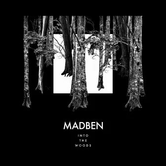 Into the Woods by Madben