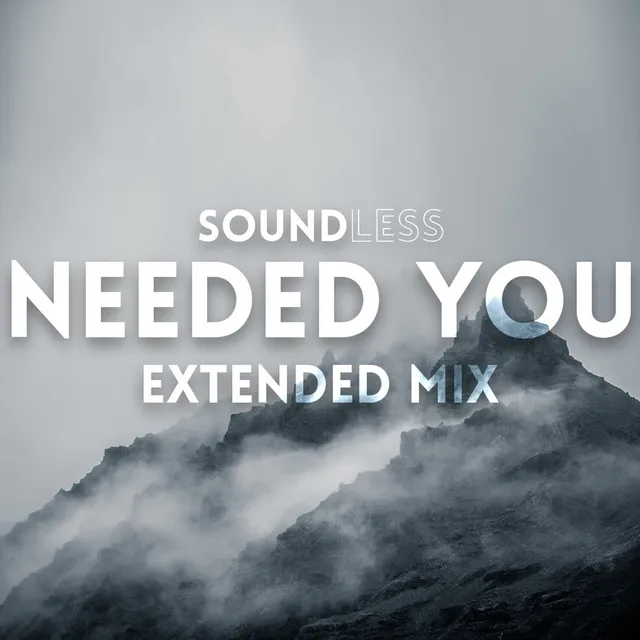 Needed You - Extended Mix