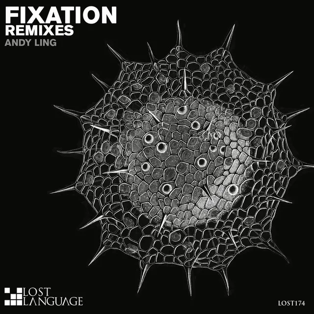 Fixation - Dan Thompson Remix