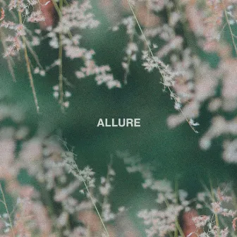 Allure by Caleb Belkin