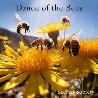 Dance of the Bees by Sacred Society