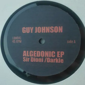 Algedonic by Guy Johnson