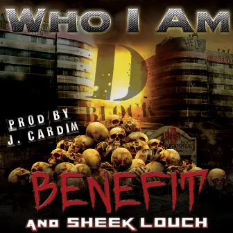 Who I Am by Benefit