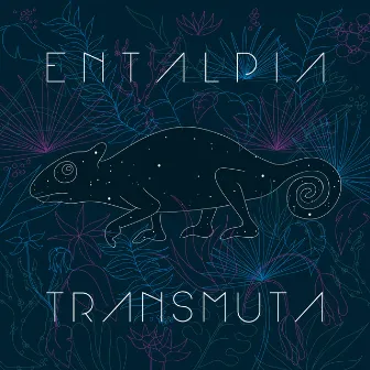 Transmuta by Entalpia