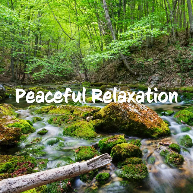 Soothing Piano Music For Stress Relief, Healing, Peaceful Relaxation