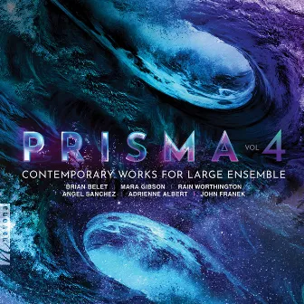 Prisma, Vol. 4 by Stanislav Vavrinek